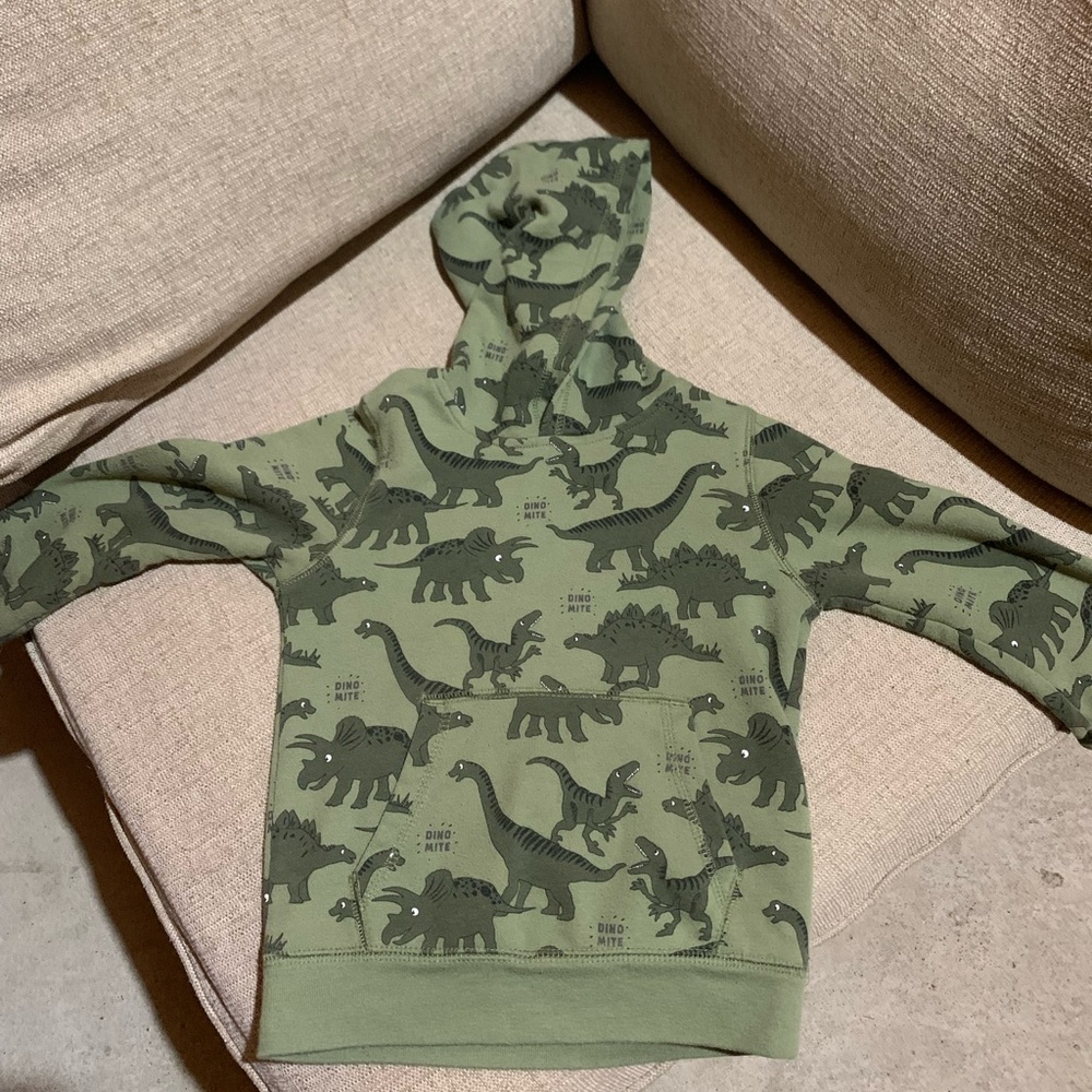 Dinosaur hoodie